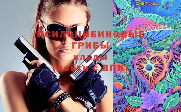 apvp Алексин
