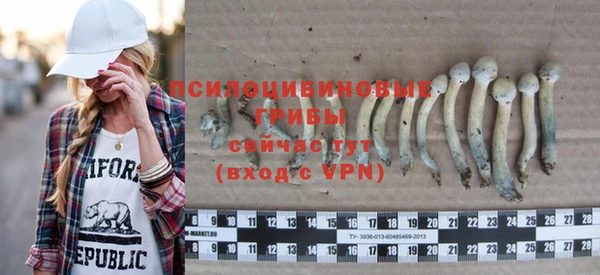 дживик Алексеевка