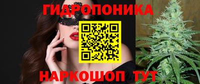 мдпв Рузаевка