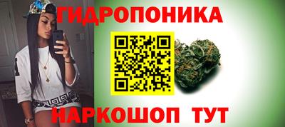 мдпв Рузаевка