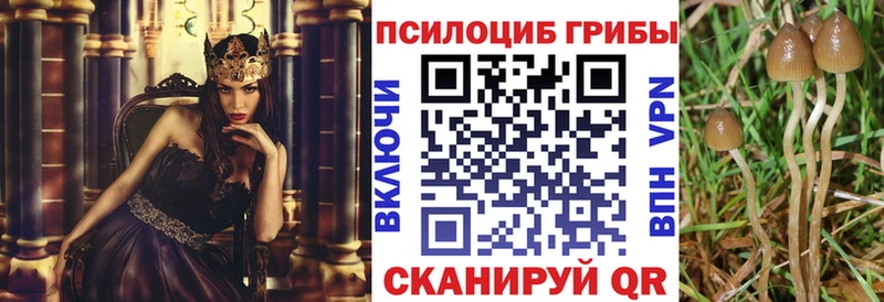 Псилоцибиновые грибы GOLDEN TEACHER Учалы